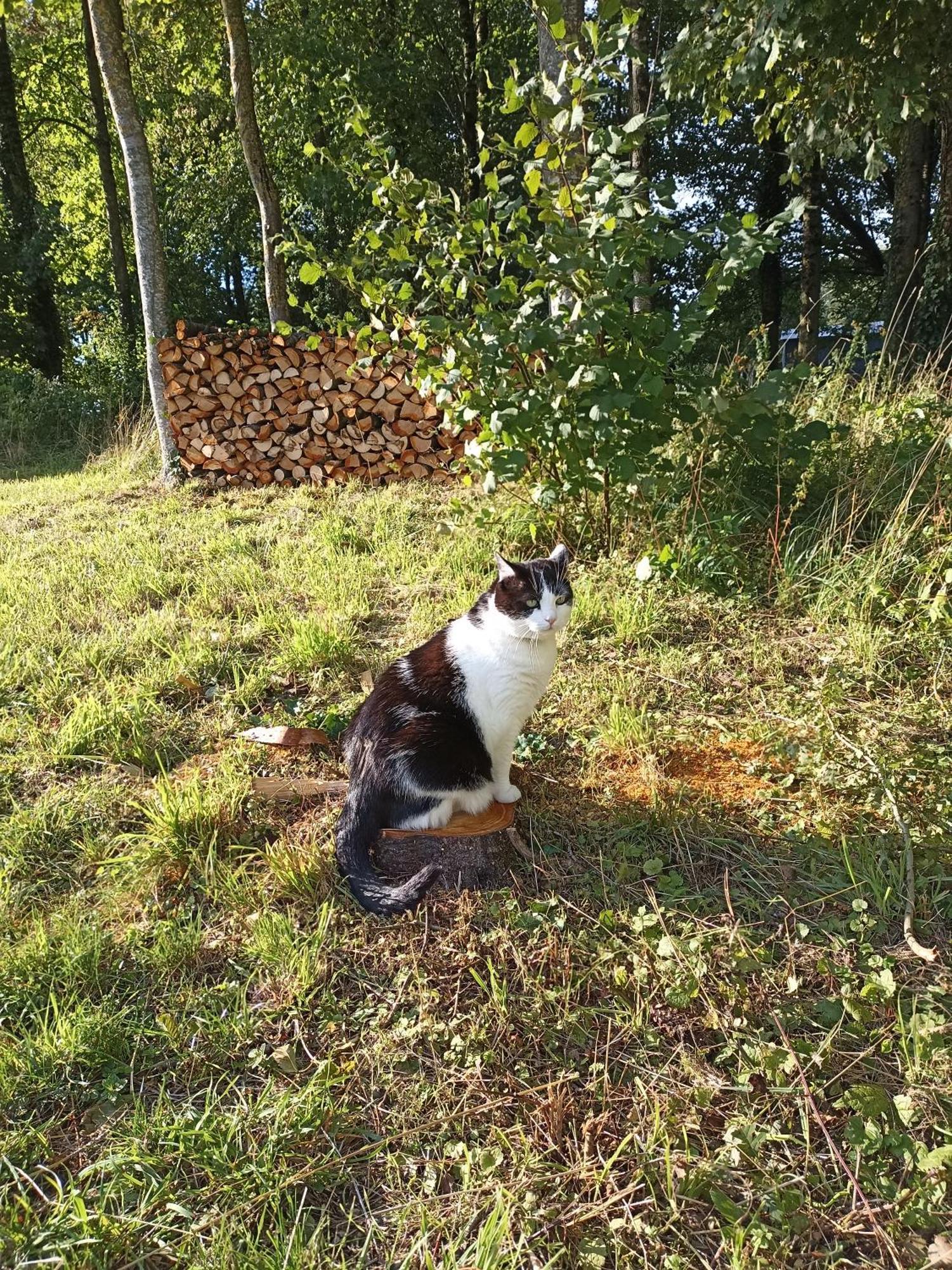 Gite Nature Et Detente Aubréville Zewnętrze zdjęcie