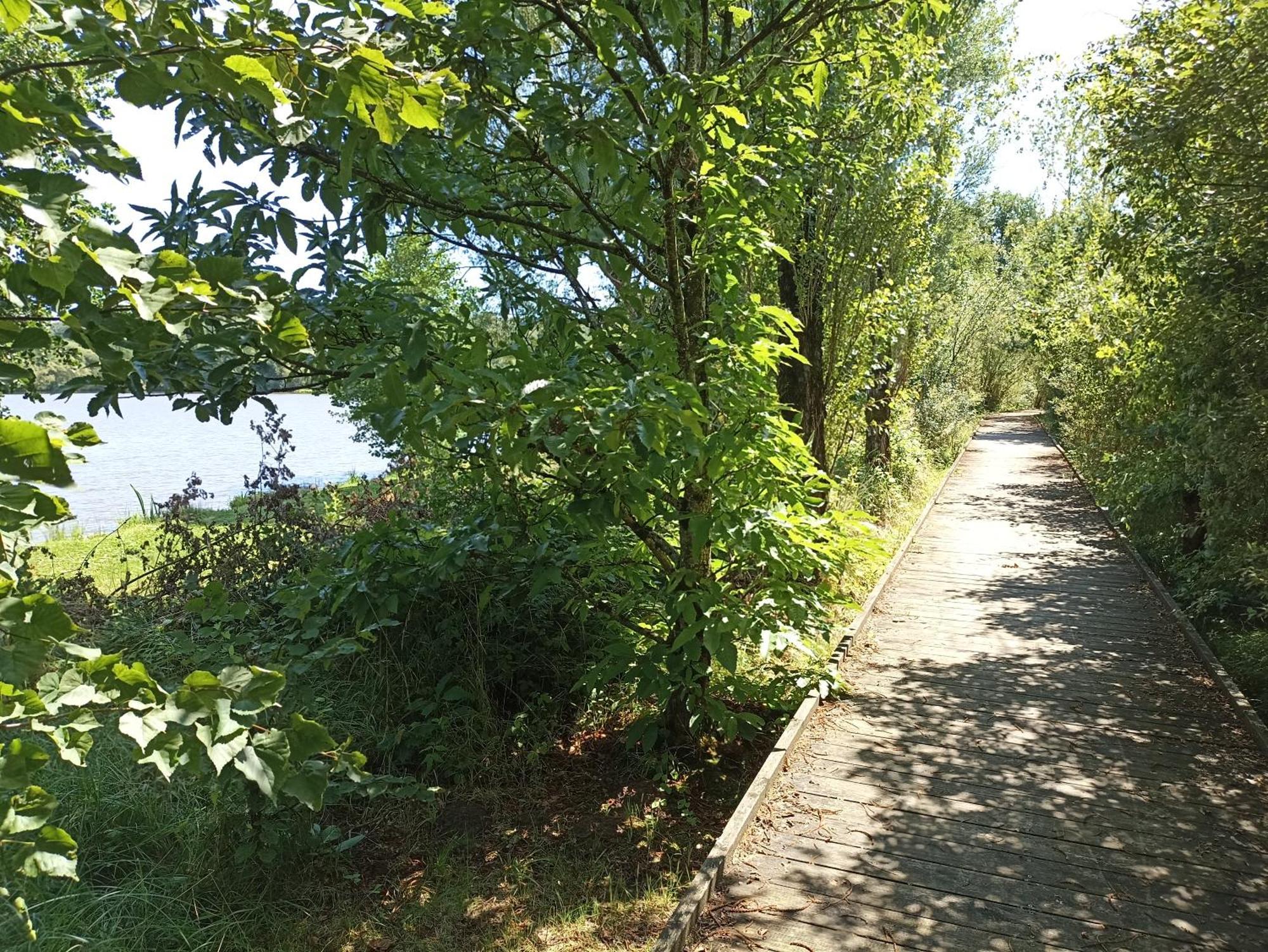 Gite Nature Et Detente Aubréville Zewnętrze zdjęcie