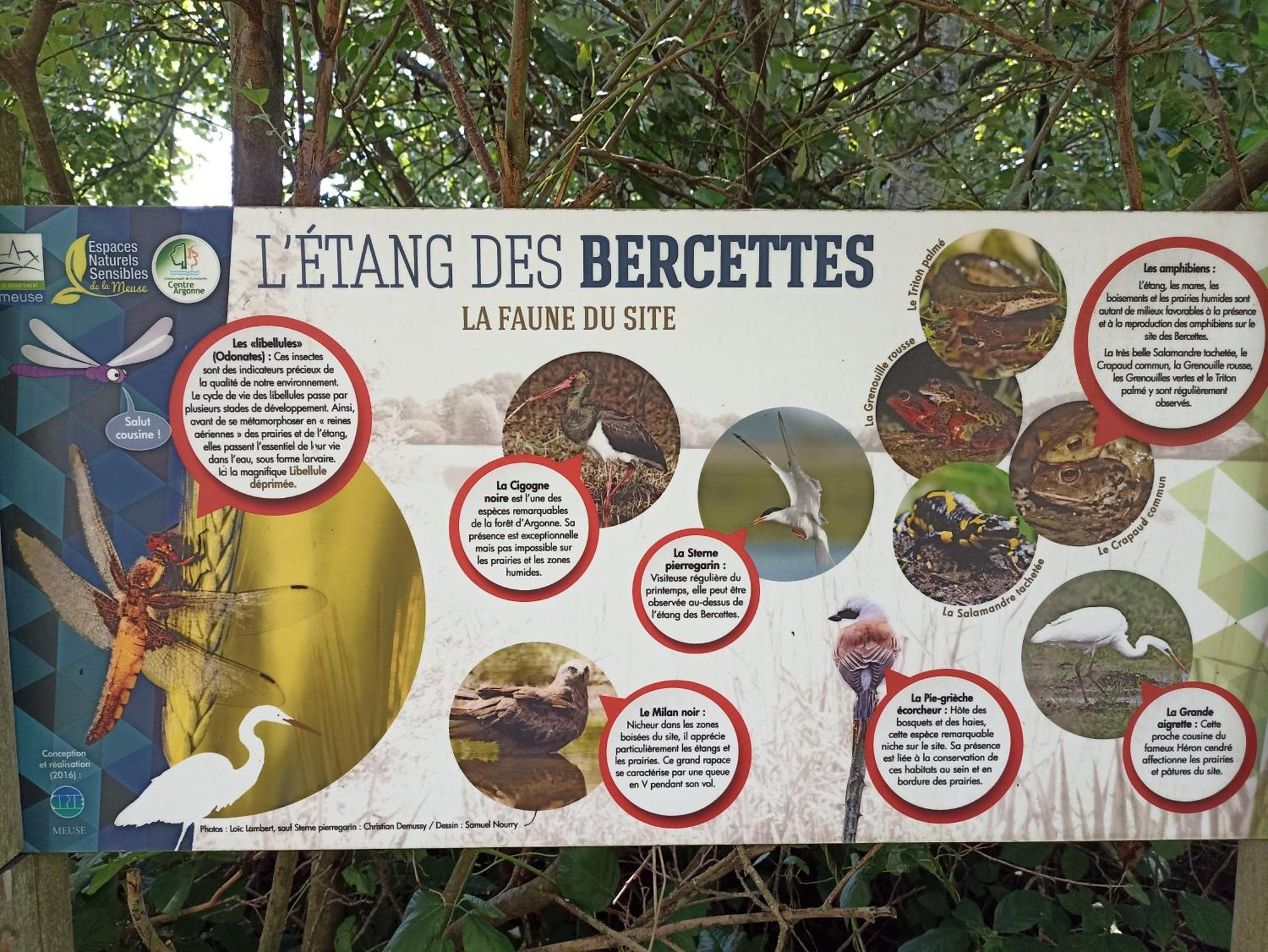 Gite Nature Et Detente Aubréville Zewnętrze zdjęcie