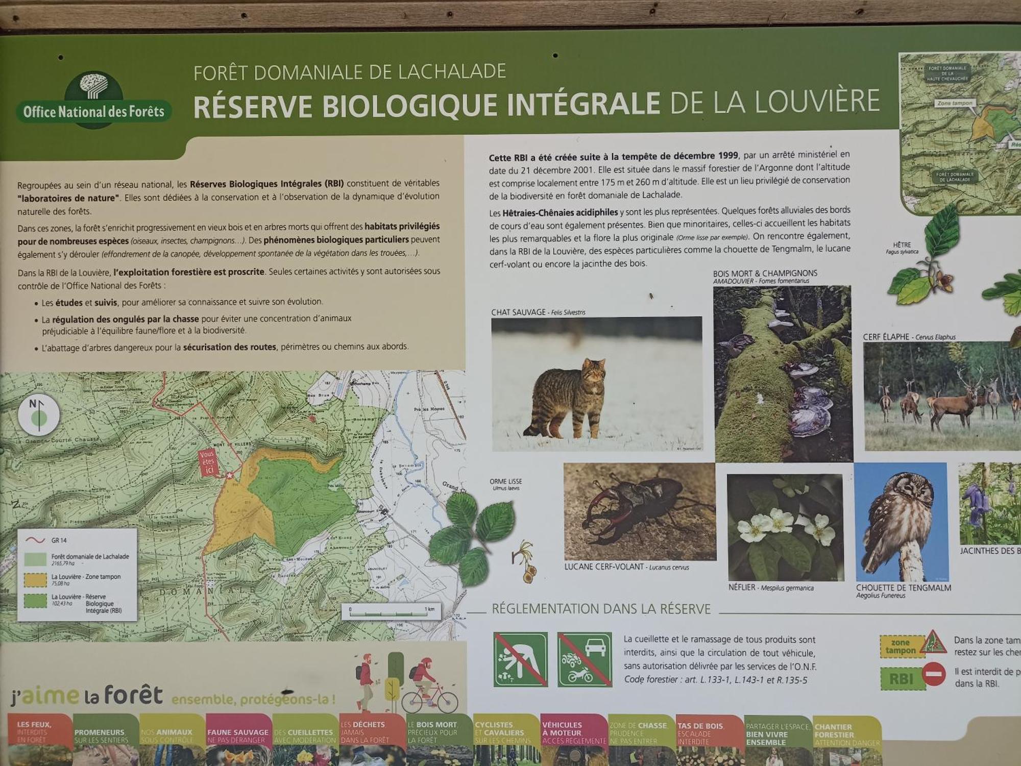 Gite Nature Et Detente Aubréville Zewnętrze zdjęcie