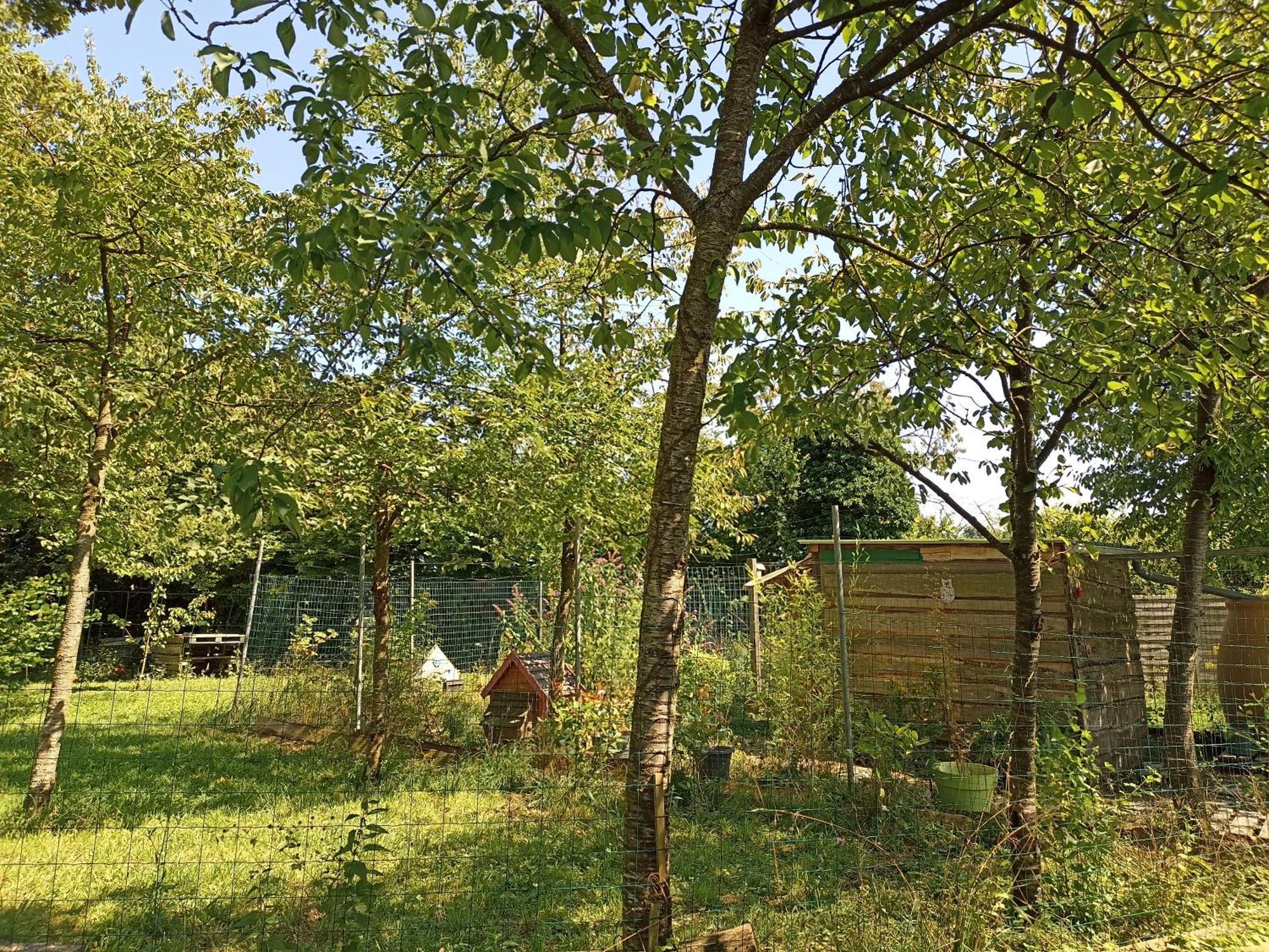 Gite Nature Et Detente Aubréville Zewnętrze zdjęcie