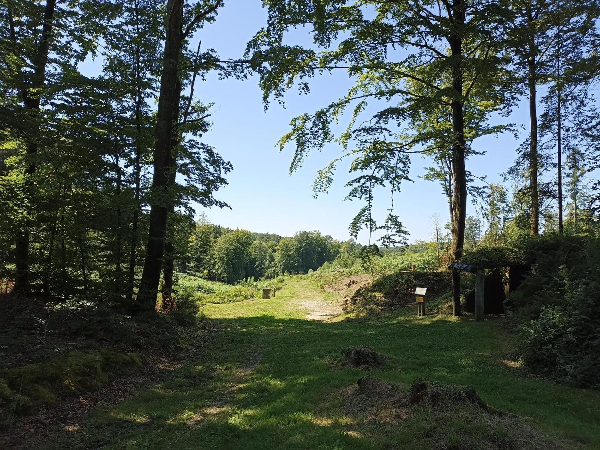 Gite Nature Et Detente Aubréville Zewnętrze zdjęcie
