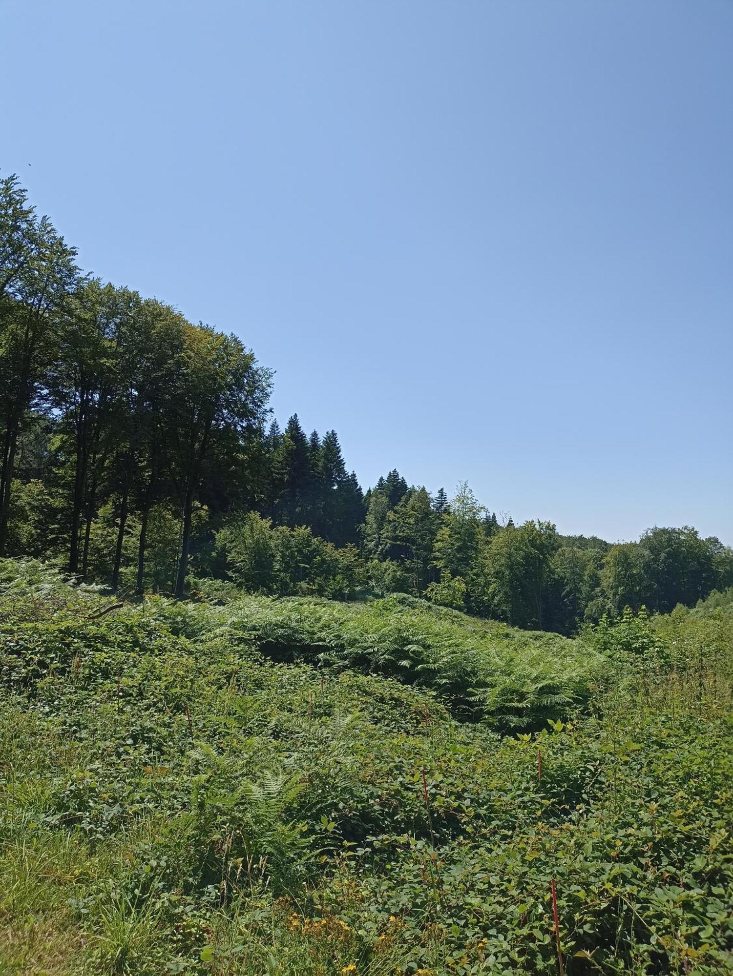 Gite Nature Et Detente Aubréville Zewnętrze zdjęcie