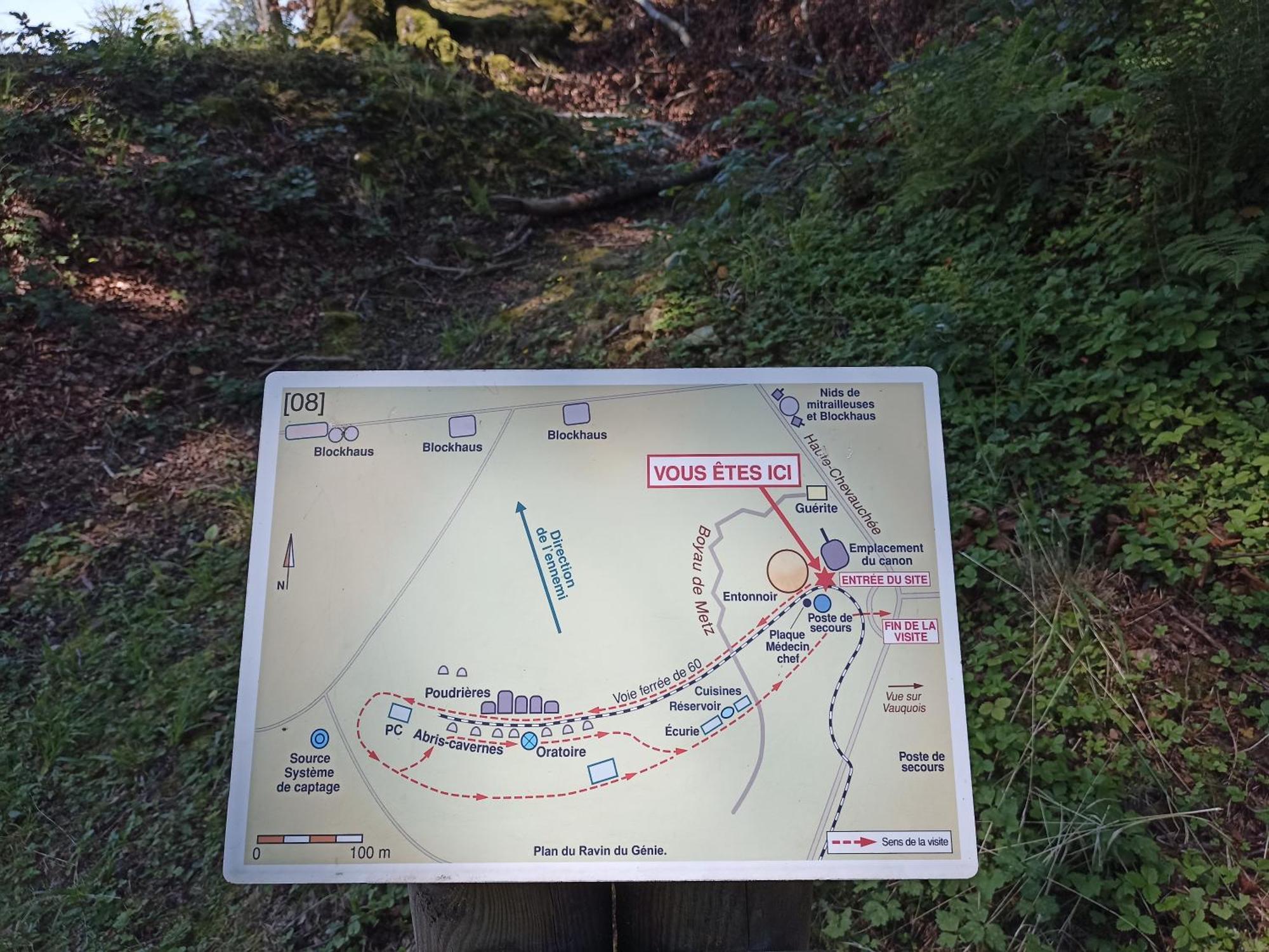 Gite Nature Et Detente Aubréville Zewnętrze zdjęcie