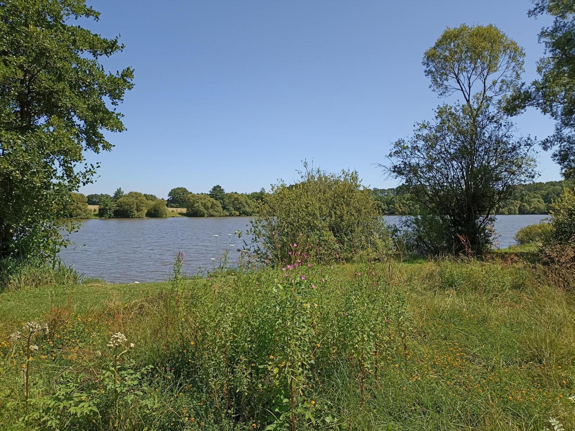 Gite Nature Et Detente Aubréville Zewnętrze zdjęcie