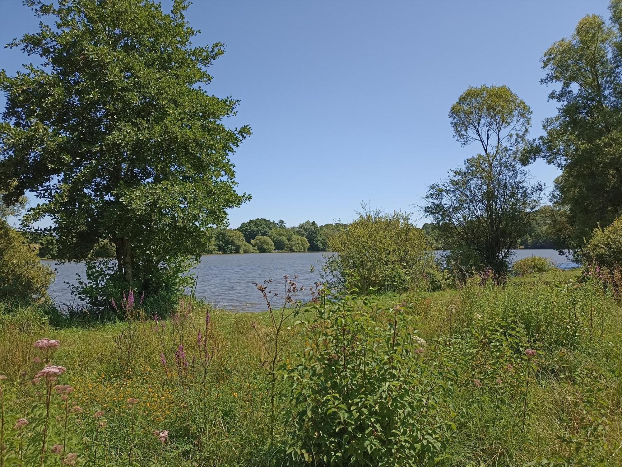 Gite Nature Et Detente Aubréville Zewnętrze zdjęcie