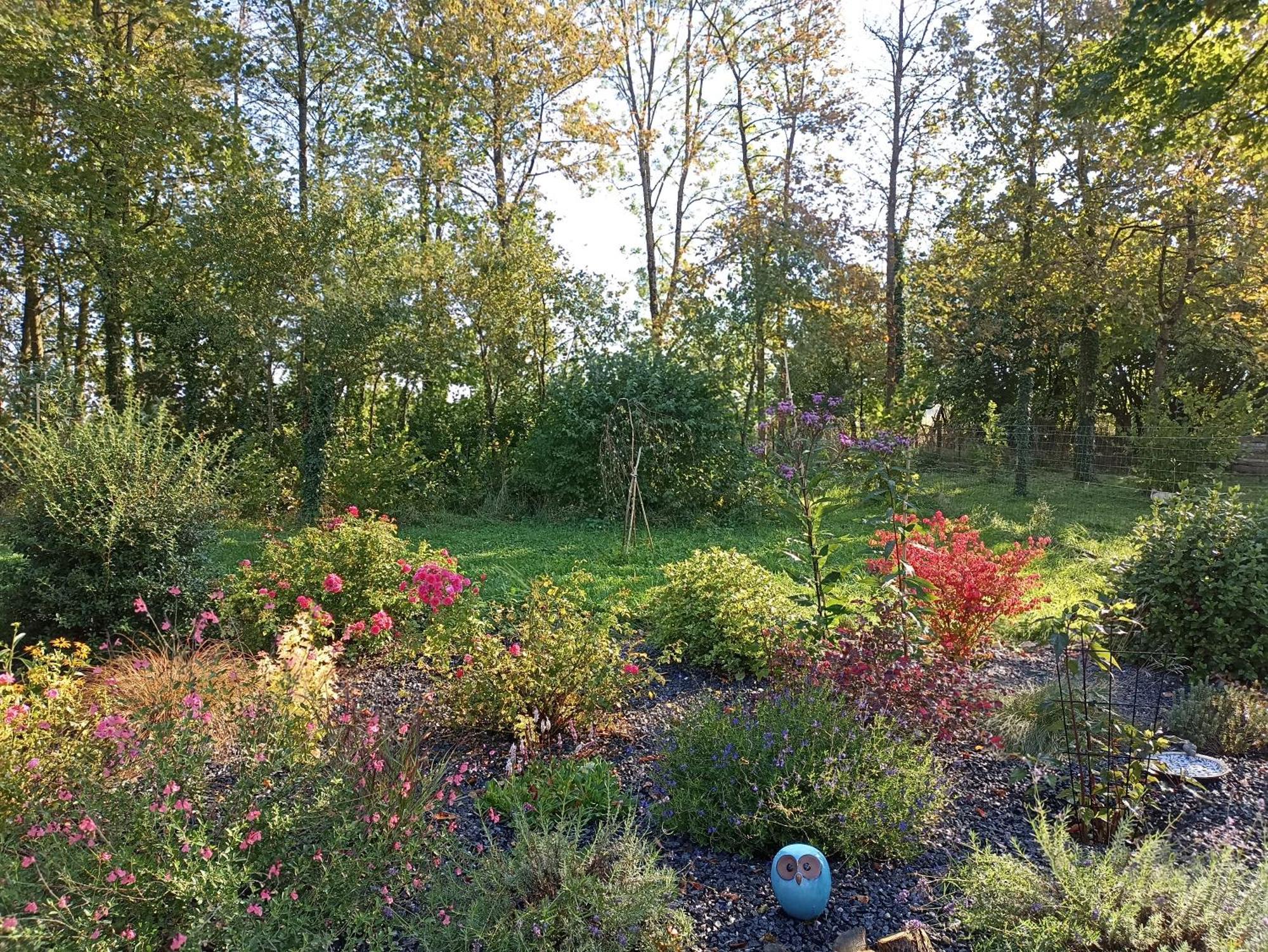 Gite Nature Et Detente Aubréville Zewnętrze zdjęcie